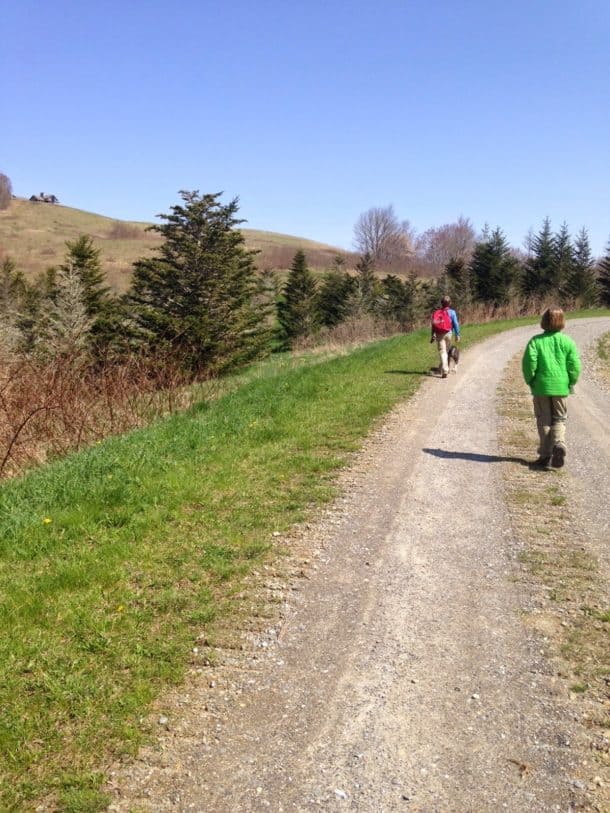 Kids walking the road