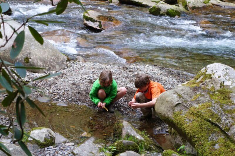 Kids in stream