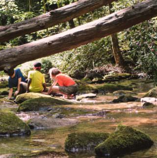 Laurel Fork Creek and kids playing