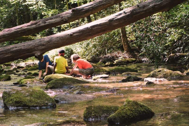 Laurel Fork Creek and kids playing