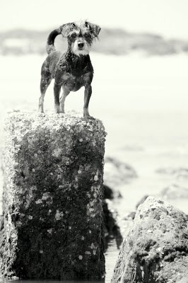 Izzie at Hunting Island