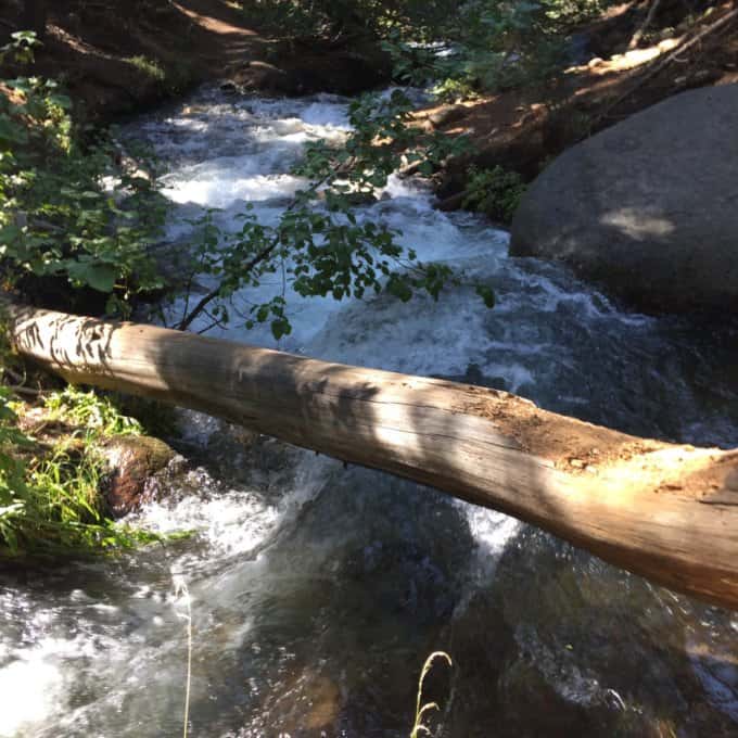 Log over water