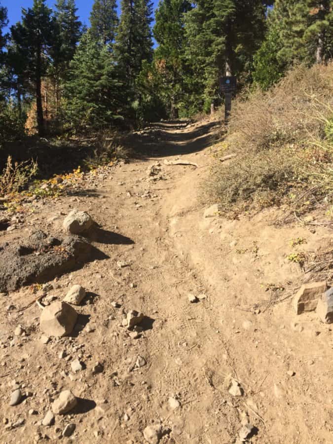 Dirt trail