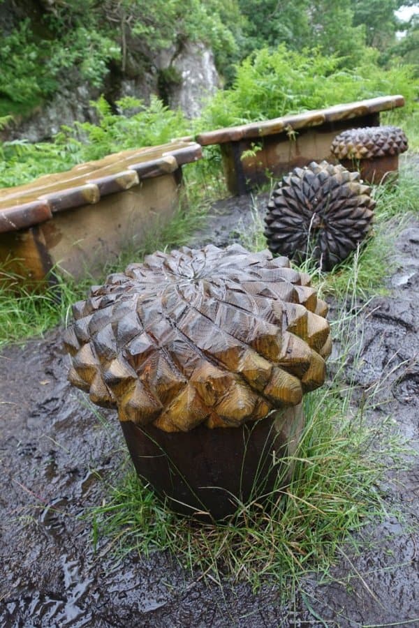 Acorn benches