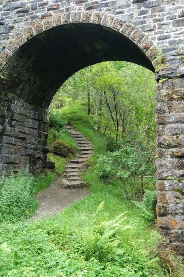 Bridge and trail