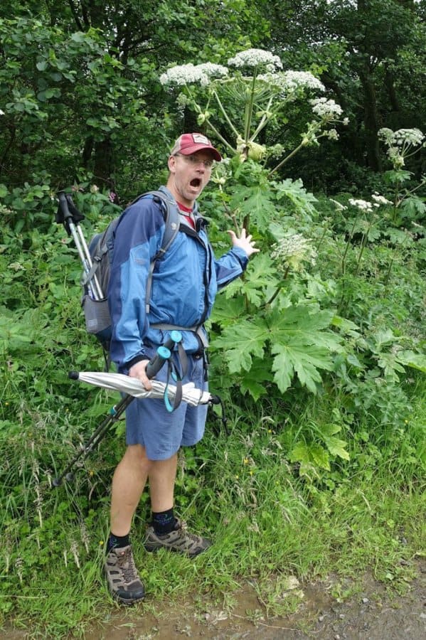 Huge plant with Larry