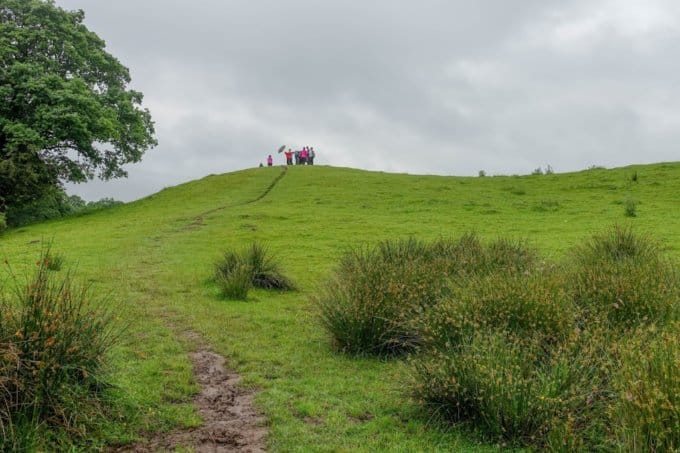 Kids on hill