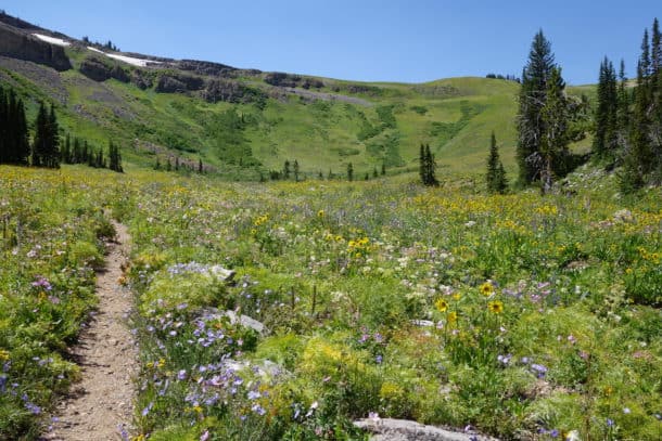 Death Canyon Trail