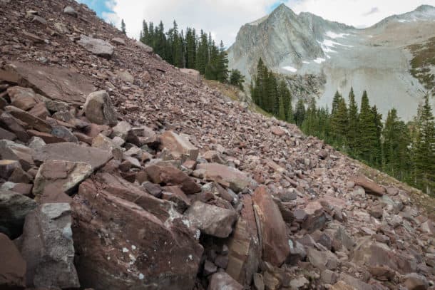 Talus field