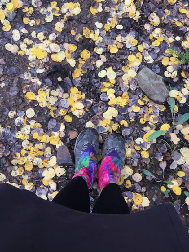 Aspen leaves on trail