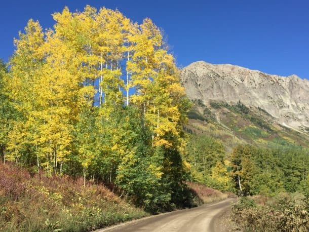 Road leading to the trailhead