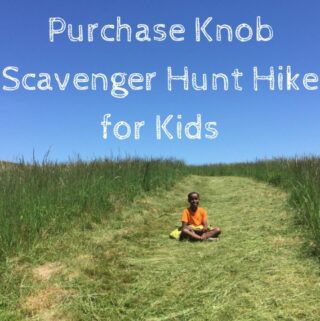 Purchase Knob Scavenger Hunt Hike for Kids