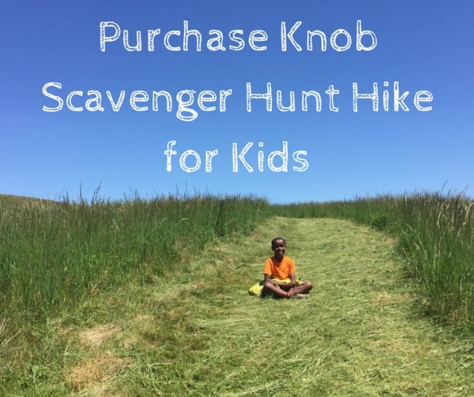 Purchase Knob Scavenger Hunt Hike for Kids