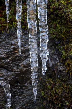 Icicle