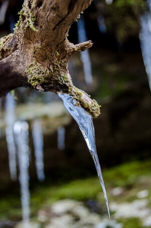 Icicle