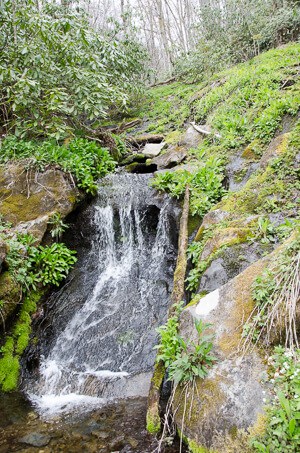 Water on side of trail