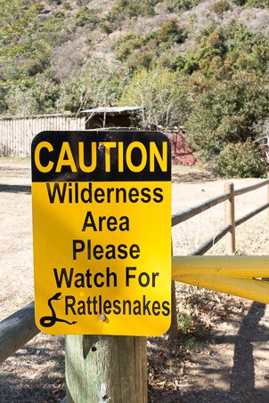 Snake warning sign