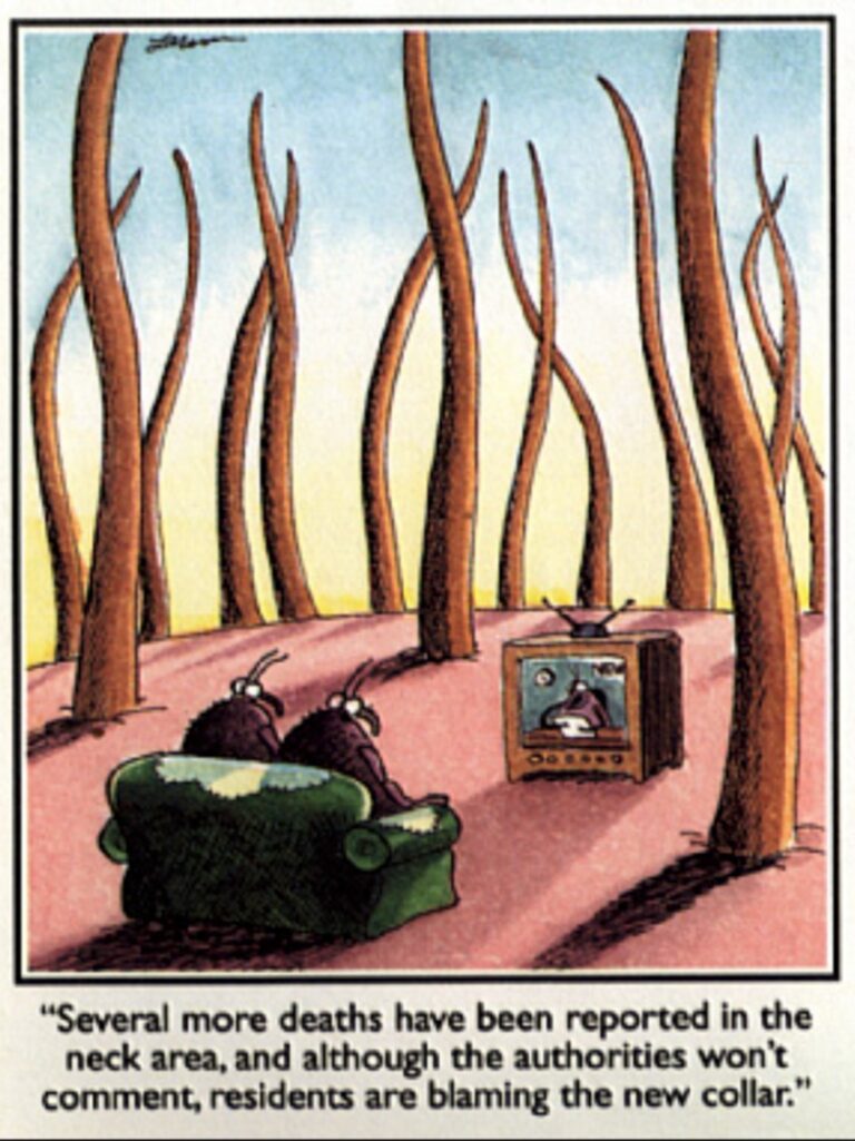 Far Side Cartoon about ticks