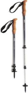 REI Traverse Power Trekking Poles