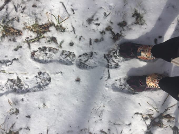 footprints in the snow