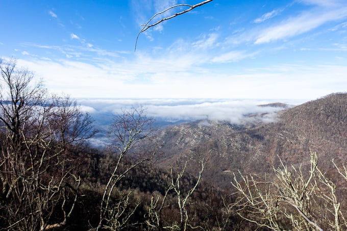 Smokies view