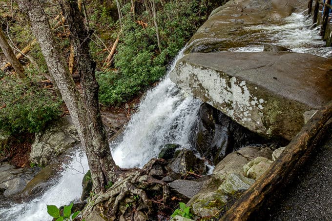 Laurel Falls