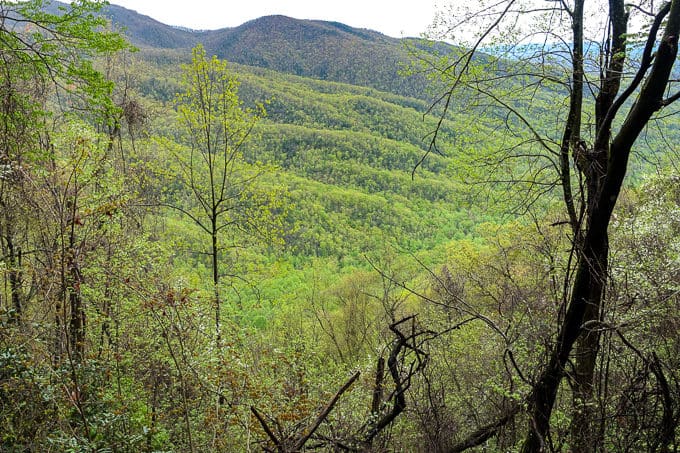 mountains in spring