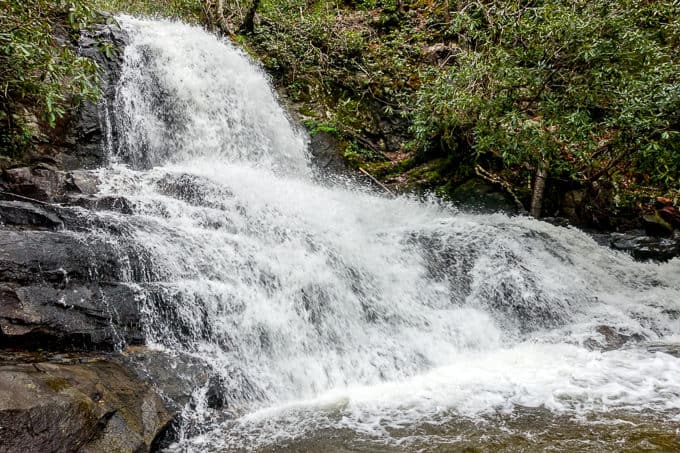 Laurel Falls