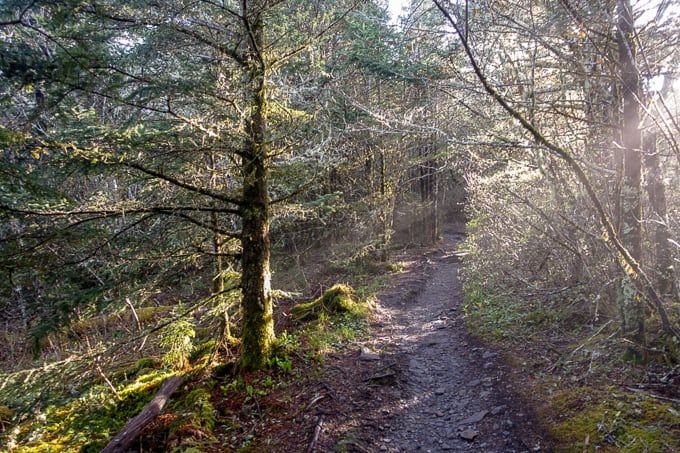 Appalchian Trail