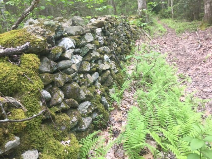 rock wall along trail