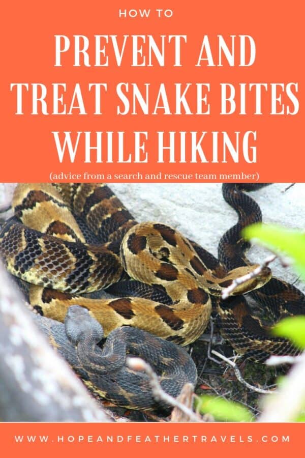 Snake Safety on Hikes: How to recognize venomous snakes, avoid bites, and what do if you are bitten