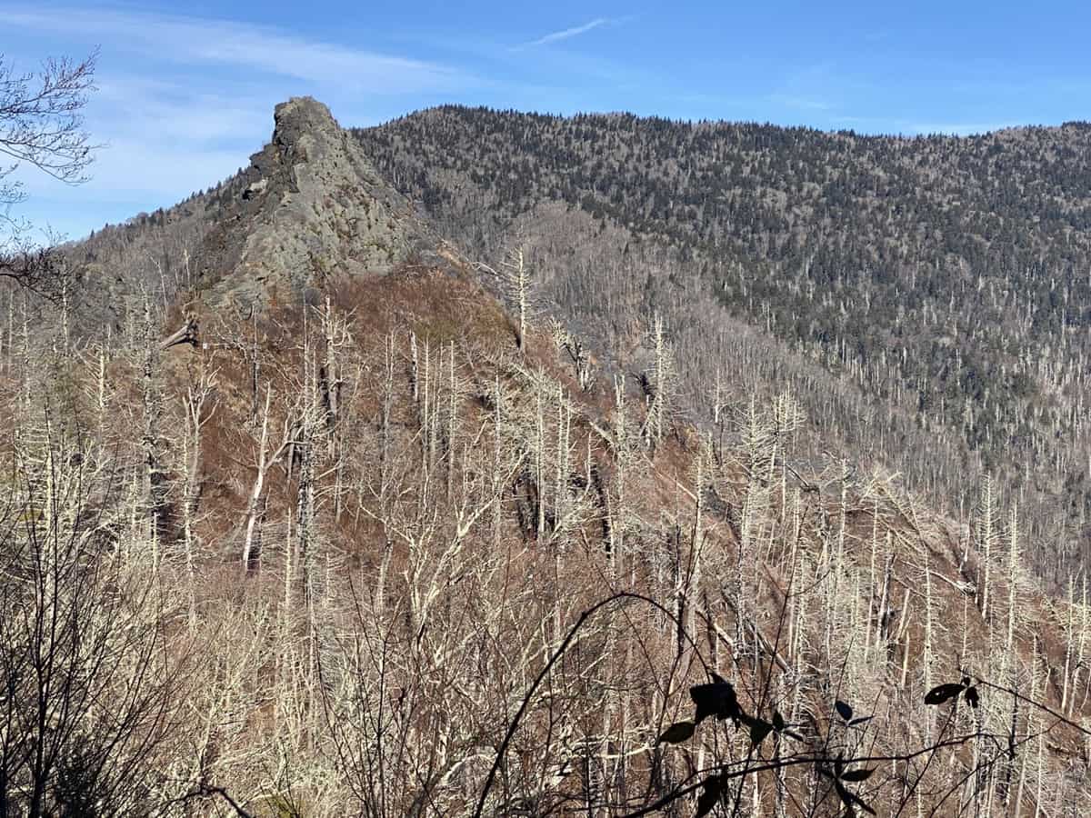 Chimney Tops Trail: Hike of 100 Favorite Trails Map - Nancy East