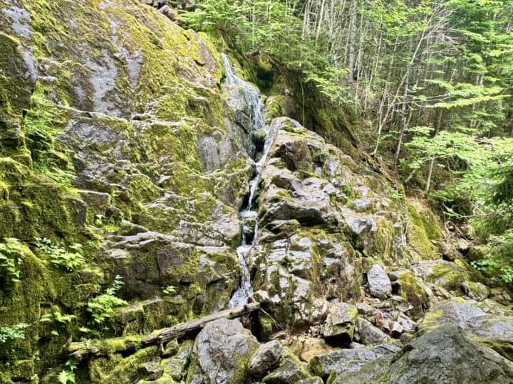 cascade in Fundy National Park