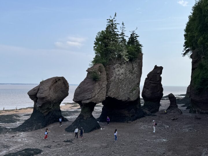 rock formations by the sea