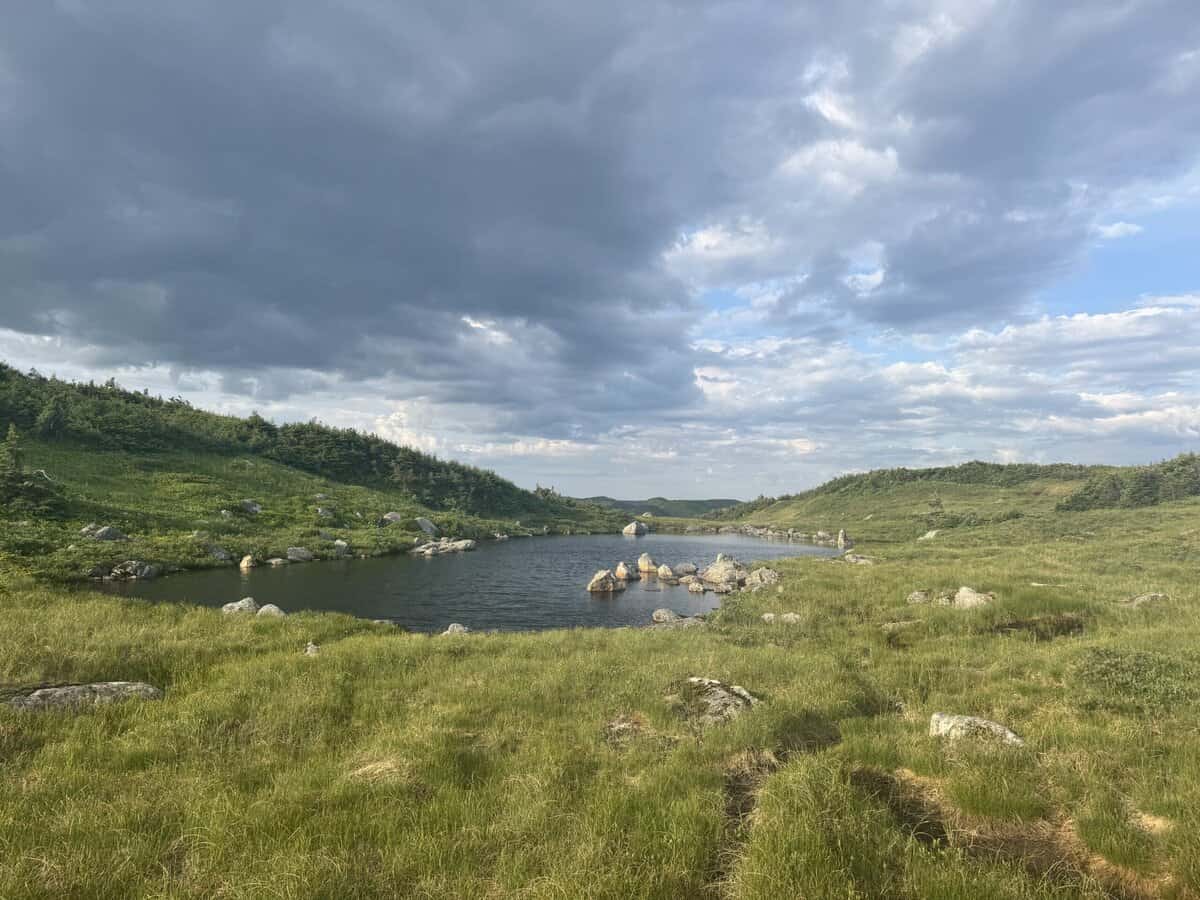 view of pond and cloudy skies