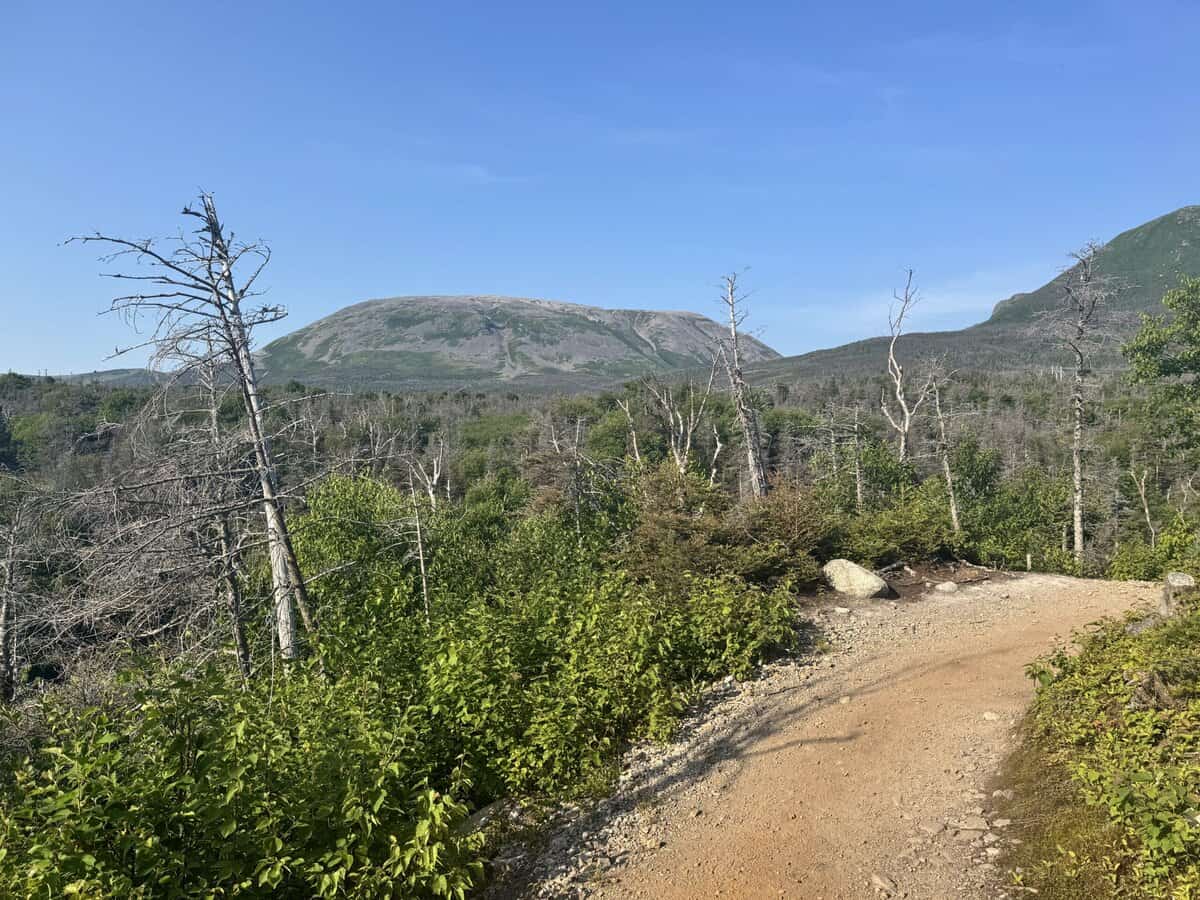 Hiking trail with mountain in distance